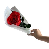 Mini bouquets de fleurs séchées, roses éternelles conservées avec une tige longue durée pour une demande en mariage, un mariage, la Saint-Valentin, la fête des mères, un anniversaire