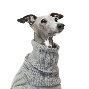 Gilet à col roulé de haute qualité pour vêtements pour chiens tenue élastique en tricot à la main d'hiver pour lévriers italiens et Whippets - Product Image 1