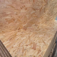 Fournisseurs osb3mm 6mm 12mm planches bon marché panneau prix bois tablero osb