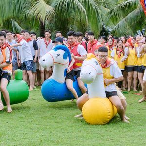 Cheval gonflable pour team building, Vietnam, PVC, garantit la sécurité en transport, toutes saisons, Thuy Linh, 5-10 jours - Product Image 1