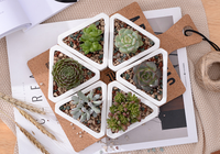 Petit plateau en bambou avec pots de fleurs pour plantes à air succulentes en céramique blanche pour conteneurs de faux cactus de jardin