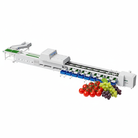 Multifunctionele fruit- en groentesorteermachine SUS304 voedselveilige sorteermachine