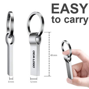 Memoria USB <span class=keywords><strong>Feer</strong></span> Pormo, Llavero con Memoria USB, Pendrive de 1 GB, 2 GB, 4 GB, 8 GB, 16 GB, 32 GB, 64 GB, Unidad Flash USB de Metal, Mini Pendrive - Product Image 2