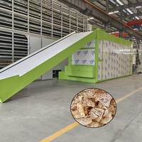 Automatische groenten-droogmachine met gaasband, taro-wortel droogmachine, taro-schijfjes droogmachine met gaasband