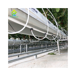 Invernaderos Pequeños con Estructura Galvanizada para Cultivo de Vegetales, Sistemas Hidropónicos Industriales con Tubería de PVC, Triangulares Verticales Estables AX149 - Product Image 1