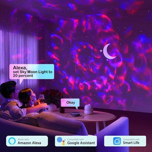 Light Projector ,starry Sky Night Light Led <strong>Nightlight</strong> <strong>Starlight</strong> Projector - Product Image 6