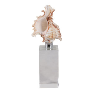 Scultura decorativa a forma di conchiglia su base di cristallo per decorazioni per la casa, statuetta per bagno, ufficio, soggiorno. - Product Image 1