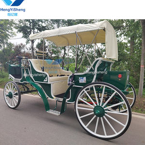 Carruaje turístico eléctrico verde elegante Carruaje de caballos estilo Victoria Mejor precio Venta directa de fábrica Transporte especial - Product Image 3