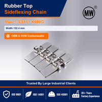 Chaîne à plateaux en caoutchouc en acier inoxydable magnétique SS881-K600G, approvisionnement en vrac pour lignes de stérilisation et de dépalettisation, livraison rapide