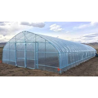 Serre agricole tunnel monopente en PE de haute qualité, petite taille, facilement assemblable, avec couverture en film pour la culture de tomates/concombres