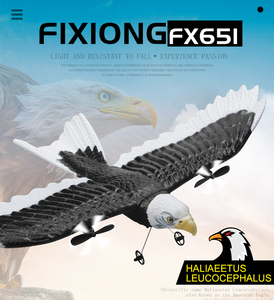 Avion <span class=keywords><strong>planeur</strong></span> en mousse RC Top FX651, envergure de 405 mm, simulation d'ailes d'aigle, radiocommande 2,4 G, jouets d'avion télécommandés - Product Image 5