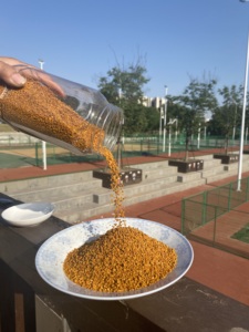 Polvo de <span class=keywords><strong>polen</strong></span> de abeja orgánico 100% de alta calidad, alto contenido en proteínas (26%), sin aditivos, paquete de 1kg, marca Xingbo - Product Image 2
