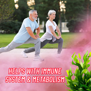 Best Selling Sea Moss Gummies with Total Carbohydrate Upports Metabolic Balance and Energy Immume System Metabolish Gummies - Product Image 5
