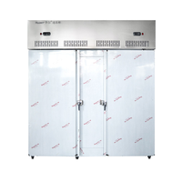 Congélateur commercial, 20 l, à basse température, pour aliments, poisson, été