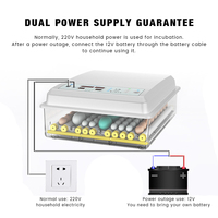 Mini-incubateur avec batterie de secours DC12V, retournement automatique des œufs, vision panoramique, pour l'éclosion de poulets et de cailles