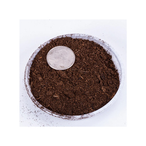 Mousse de tourbe de haute qualité, écologique, pour le sol en pot, la germination des graines et une expansion saine des racines - Product Image 1