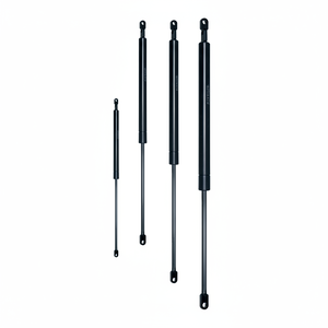 C 250 Course F 700 N CYLINDRE OLÉOPNEUMATIQUE (VO25/070) - Product Image 1