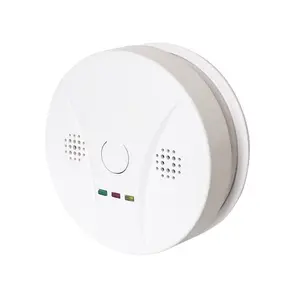 Carbon Monoxide Detector With LCD Wall Mounted Battery Operated Powered Carbon Monoxide Detector CO Gas Leak Alert Detector