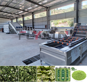 Deshidratador de Banda de Malla de Acero Inoxidable 304 con Calentamiento Eléctrico Controlado por PLC Automático para Secado de Vegetales y Procesamiento de Alimentos - Product Image 2