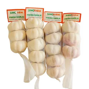 Persediaan Sinofarm Bawang Putih Penyimpanan Dingin Super Putih untuk Grosir Potongan Bawang Putih Ungu Segar Harga Ekspor