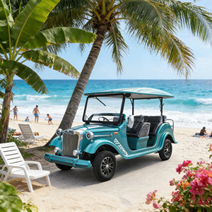 Voiture électrique classique rétro certifiée CE, 11 places, idéale pour les parcs et les attractions touristiques. - Product Image 1