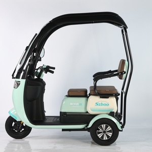 Triciclo Eléctrico de Tres Ruedas al por Mayor de Fábrica, Carrocería Abierta, Motor sin Escobillas, Luces LED, Uso para Pasajeros de Alta Velocidad - Product Image 6