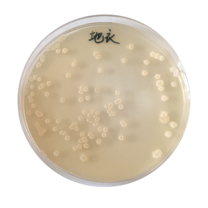 Bacillus Subtilis <span class=keywords><strong>Trichoderma</strong></span> <span class=keywords><strong>Reesei</strong></span>, - Product Image 2