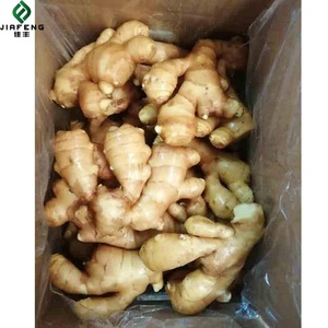 Chất Lượng Cao Gừng Tươi Cây Trồng Mới Bán Buôn Từ Trung Quốc Nhà Cung Cấp Hight Chất Lượng Sản Phẩm Xuất Khẩu - Product Image 2