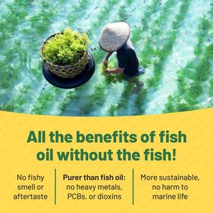 Suplemen perawatan kesehatan kustom minyak Algal sayuran sofgel Omega 3 asam lemak <span class=keywords><strong>Vegetarian</strong></span> <span class=keywords><strong>DHA</strong></span> dukungan kekebalan jantung sendi - Product Image 4