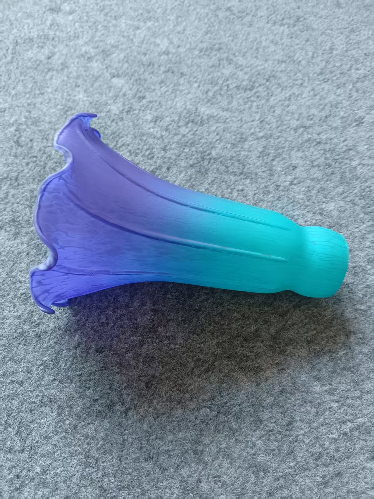 Viola