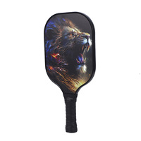 Raquette de pickleball haut de gamme en fibre de verre avec noyau alvéolé, 2 raquettes, 4 balles et accessoires, ensemble avec étui rigide pour débutants
