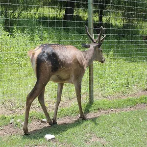 Cervus elaphus 울타리 스틸 와이어 메쉬 양 농장 울타리 그물 중국에서