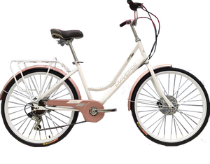 Vtt coloré en acier au <span class=keywords><strong>carbone</strong></span> pour femmes, 24 pouces, livraison gratuite - Product Image 1
