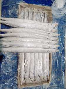 <span class=keywords><strong>Cinta</strong></span> Pescado Congelado De Buena Calidad Y Buen Precio - Product Image 5
