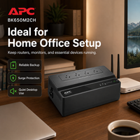 Sistema de Alimentación Ininterrumpida (SAI) Schneider APC BK650M2-CH de 650VA 390W con Batería de Respaldo para Cable, Módem y Almacenamiento Conectado a la Red