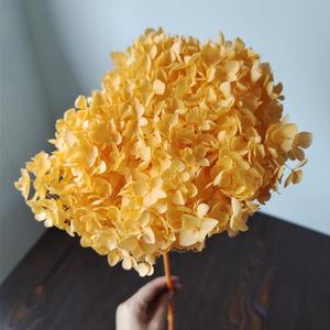 <span class=keywords><strong>Bouquet</strong></span> d'hortensias <span class=keywords><strong>séchées</strong></span> de haute qualité, 24 pièces, petites feuilles, fausses <span class=keywords><strong>fleurs</strong></span>, pour la décoration de la maison - Product Image 6