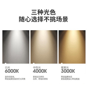 Spot LED sur rail 30W 40W COB, lumière chaude, pour showroom commercial, magasin de vêtements - Product Image 5