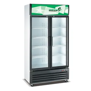 Шкаф для хранения напитков вертикальный коммерческий двухдверный холодильник для напитков 1000 л