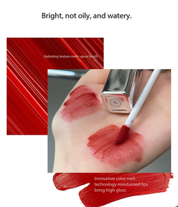 <span class=keywords><strong>Gloss</strong></span> à lèvres hydratant et repulpant effet miroir, longue tenue, fini mat argenté, végétalien, marque privée - Product Image 2