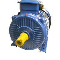 Moteurs asynchrones triphasés LF 15hp 300hp Gamme 45kw Moteur électrique AC série Y2-225M-2 Haute efficacité IE1-IE3 IC411