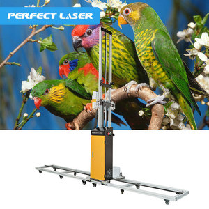 Máquina de Impresión Digital Láser Perfecta para Papel Tapiz en Vidrio/Metal/Azulejos, Paredes de Masilla en Polvo, Paredes de Pintura Látex, Paredes Blancas - Product Image 1