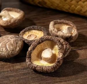 Nuevos Productos de Proveedores de Hongos Comestibles - Hongos Shiitake Secos al por Mayor Disponibles a Precios de Mercado Más Bajos. - Product Image 3