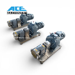 Pompe rotative à lobes/rotor pour transfert d'additifs chimiques (produits chimiques quotidiens) avec joint d'étanchéité – Meilleur prix - Product Image 6