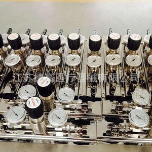 Colector de Gas de Acero Inoxidable para Laboratorio con Regulador de Presión, Terminal para Argón y CO2, Estructura de Medidor de Flujo, Válvula Reductora - Product Image 1