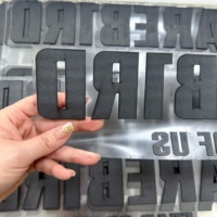 Impression de transfert thermique 3D personnalisée en gros, logo haute densité, PET lavable, impression de transfert à repasser sur vêtement, t-shirt