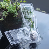 Plants de camélia et de piment Offre Spéciale Transport express de plantes en pot en plastique pour les semis de légumes et de fleurs de qualité jardin