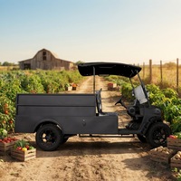 Voiturette de golf électrique 2 places avec coffre arrière, batterie au lithium, homologuée CE, pour le transport de marchandises dans les centres de villégiature et les parcs.