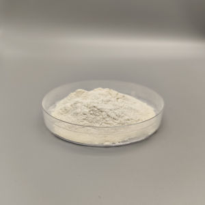 厂家直销热销工业级壳聚糖KG用于水处理 - Product Image 5