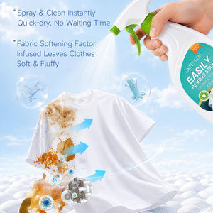 Spray Quitamanchas para Ropa, Limpiador Instantáneo de Manchas de Aceite, Cuello Amarillo, Sangre, Fruta, Spray Limpiador de Telas OEM - Product Image 4