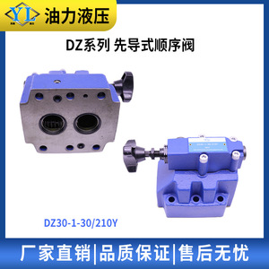 โซลินอยด์วาล์วไฮดรอลิกแบบควบคุมลำดับ DZ10/DZ20/DZ30-1-30/100Y/210Y DZ10-2-5X/200YM สำหรับน้ำมัน  แบบ OEM ปรับแต่งได้ - Product Image 2